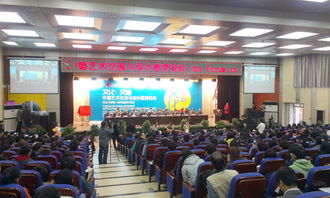 西京新闻文化艺术交流策划 搭建多元对话平台，共绘丝路文明新篇章